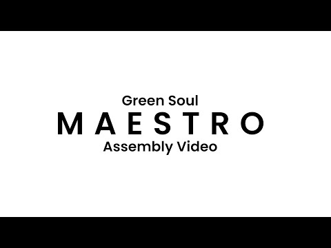 Green Soul Maestro High Back Mesh Efficient Chair  (Assembly)