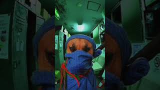 #doglover #dog #dog_features #dogshorts #doglife #dogs #dogsofyoutube