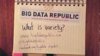 Big Data Explained: What is Variety?