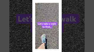 Middle SchoolMath Wheels: Notes and Practice #mathteaching