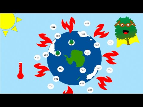 The Importance of Trees | Earth Day