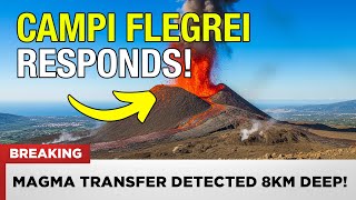 1 MINUTE AGO: Vesuvius Magma Transfer Detected 8km Deep - Campi Flegrei Responds Instantly