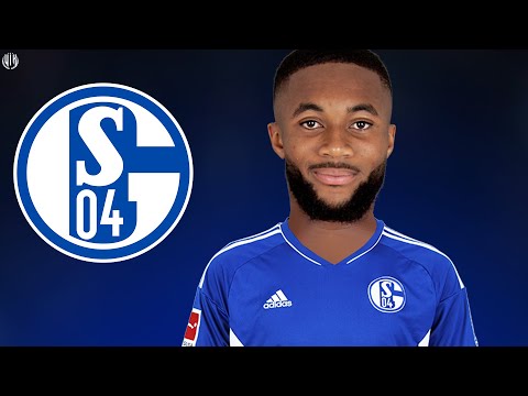 Moussa Sylla 2024 - Welcome to Schalke 04 - Best Skills & Goals | HD