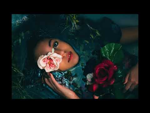 The Plant-Whisperer: An Eco-Story