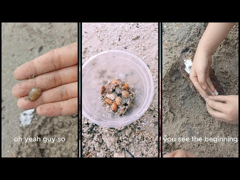 The Day We Struck Beach Gold! 🌊✨