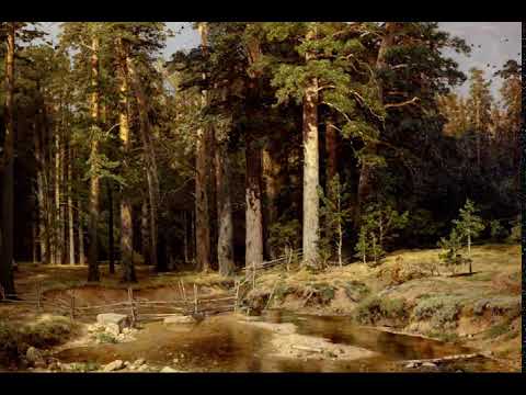 Ожившая картина И.И.Шишкина