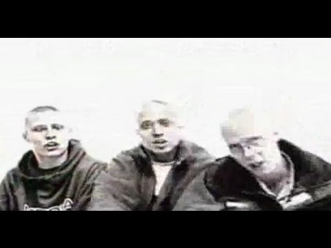 Zipera - Sztuczna twarz