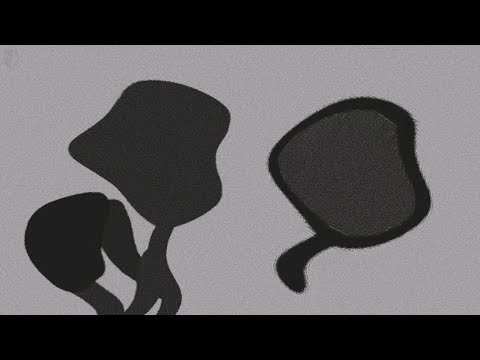 What's the opposite of soft lies?