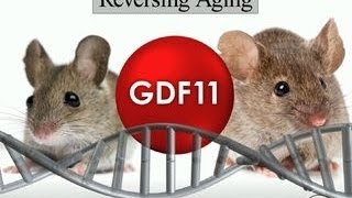 Can science turn back the clock on the aging process?