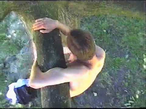 Pokari Sweat Tree Session