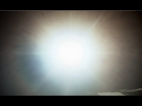 The Dogs - Mortal Tragedy (Music Video)
