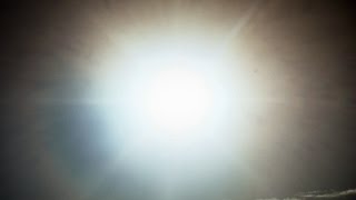 The Dogs - Mortal Tragedy (Music Video)