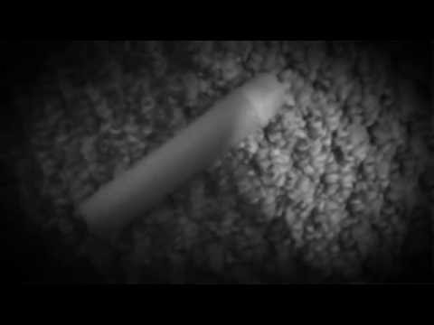 The bullet