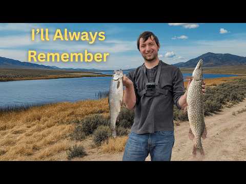 I Spent 3 Days at Nevada’s Most Underrated Fishery – Comins Lake