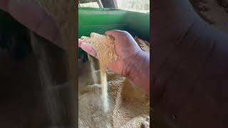 Soybean meal that is added to feed for protein