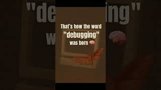 Debugging: literally in 1947 🪲💻 #programmingfacts #codingerrors #bug #programming #shorts