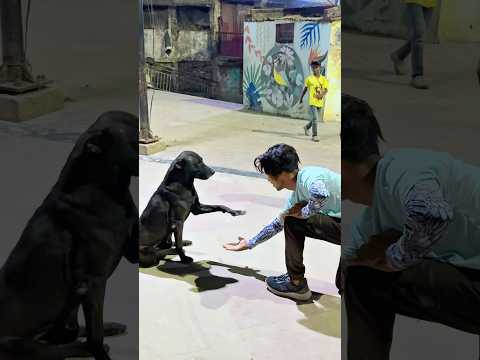 Sorry Dog😭 Mujhe Aaisa Nahi Karna Chahiye🙏…//#shortsviral #youtubeshorts #viralshorts