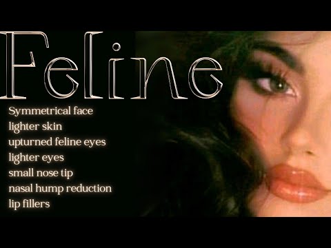 ༺✧⚜️Eclipsed Beauty⚜️✧༻