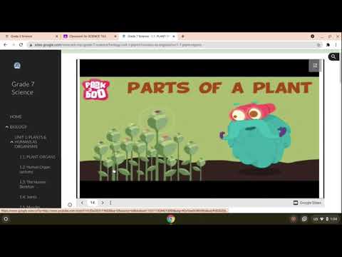 IMAS E Books Tutorial