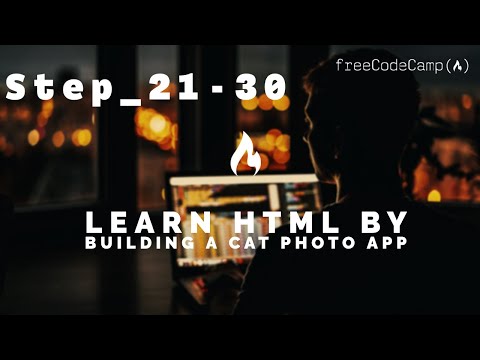Learn HTML by Building a Cat Photo App: Solutions Step 21-30 / freeCodeCamp