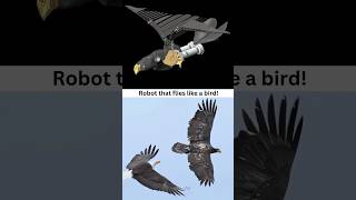 Robotic Bird 🦅 Flying Eagle 👍✅ #caddesign #birds #robotics #flyingeagle #3ddesign #solidworks #cad