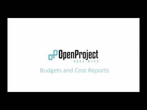 OpenProject Budgets and Cost Reports