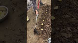 #shorts #agriculture #agritools #farming2024 #AdvanceAgriReactions