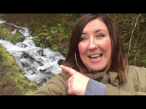 2019 WRPA Conference Keynote Rachel Sheerin Thanks WRPA