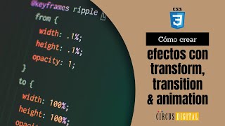 Diseño Web - Efectos con Transform, transition & animation (CSS3)