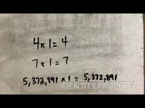 Multiplication Properties & Division Rules
