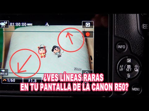 📏 Canon R50 Appearance Guides: What Are They For and How to Use Them? Photo and Video!