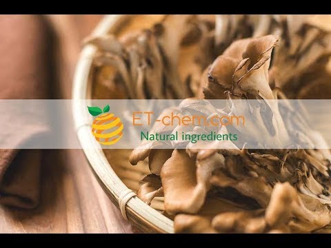 Maitake Mushroom extracts , Grifola frondosa extracts, Maitake polysaccharides, Maitake carpophores