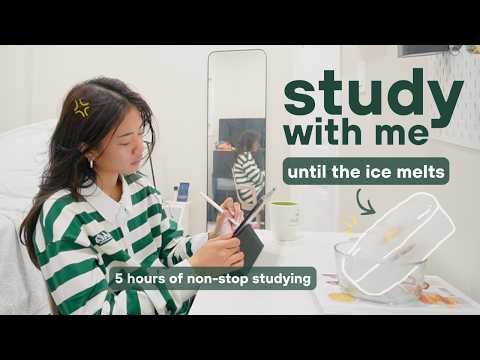 STUDY WITH ME non-stop until the ice melts 🧊 | 4AM med school final exam studying