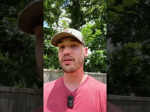 Overwhelmed finding a software expert to help your business?