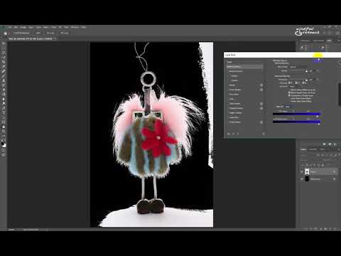 4.27 Thin fur is not an obstacle in background removing in Photoshop. 1 minute is all I need.