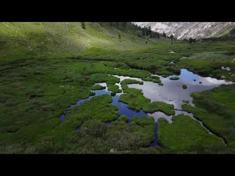 The Beauty of Lamoille Canyon, NV