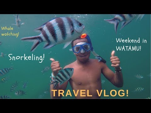 A weekend in Watamu! Scuba diving /Turtle bay/ Snorkeling/ Fishing