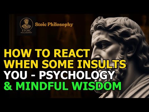 Stoic Philosophy | How to React When Someone Insults You