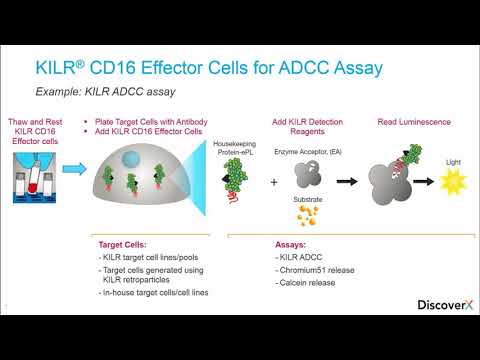 Implementing ADDC Assays in QC