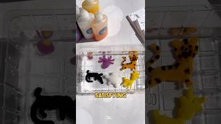 Diy Kit 🧫#squishyfun #forkids #magicsquishy #learningmadefun #sensorytoys #educationaltoys #shorts