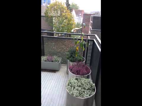Outono na Holanda - Herfst in Nederland - 2013