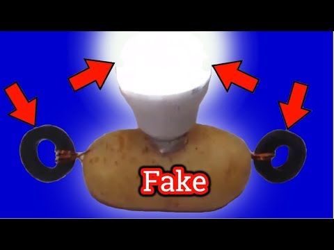 Potato Light Bulb Experiment ☆EXPOSED☆