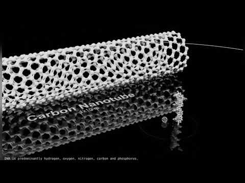 plank particle to red blood cell in less then a minute