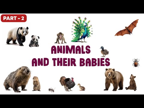 Animals and their babies  | Animals and their children | animals and their young ones ( PART - 2 ).