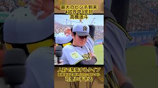 ヒーローインタビュー全編カット無し！#阪神 #セリーグ #阪神タイガース 森下翔太 #佐藤輝明 #中野拓夢 #大山悠輔 #近本光司 #坂本誠志郎  #小幡竜平 #高橋遥人  #岡城快生 #福島圭音