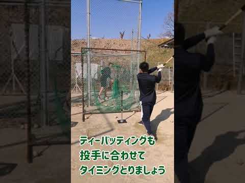 【激芯バッティング】タイミングはこれで良くなる!おすすめティーバッティング練習法!#shorts