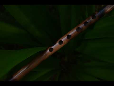 Relaxing Music | Flute Music | Meditation Music