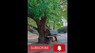 New Ai Animation Tools Short Video😱 Amazing🤩 Technology❤️ #shorts #ai #animation #tools #amazing😱😱🔥💯