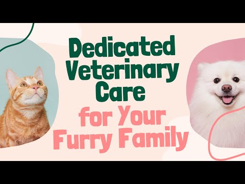 Dedicated Veterinary Care for Your Furry Family Member - Veterinary Tips