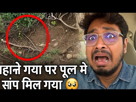 Pool me snake 🥹/ daily vlog #familyvlogs #vlog g
